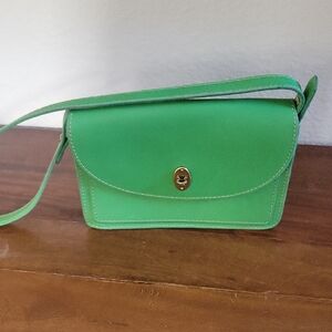 Fossil Chic Green Clutch/Shoulder Bag